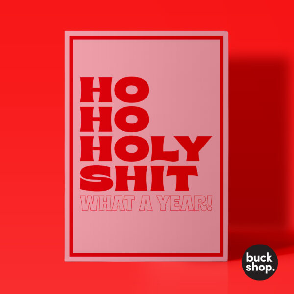 Ho Ho Holy Shit What a Year - Christmas Card, Greeting Card, Birthday Card